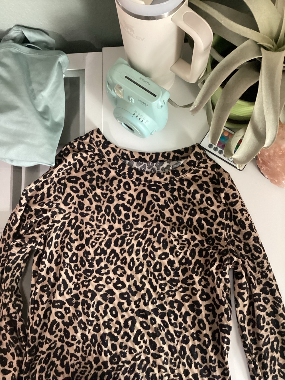 No Boundaries Leopard Print Ribbed Top in Tan & Black